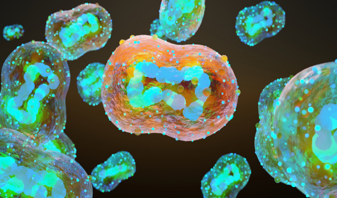 Estudo do BMJ aponta novos sintomas da varíola dos macacos