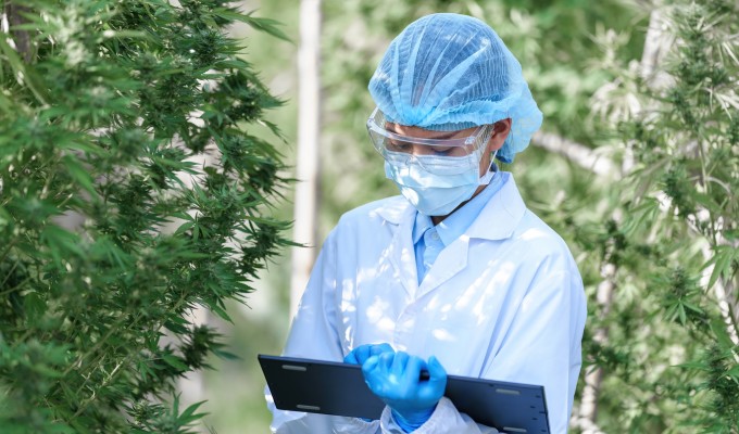 Anvisa aprova novo produto medicinal à base de Cannabis, o 23º no país